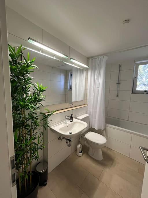 City Appartement Direkt Am Schloss! كارلسروه المظهر الخارجي الصورة