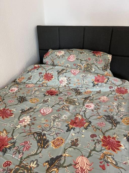 City Appartement Direkt Am Schloss! كارلسروه المظهر الخارجي الصورة