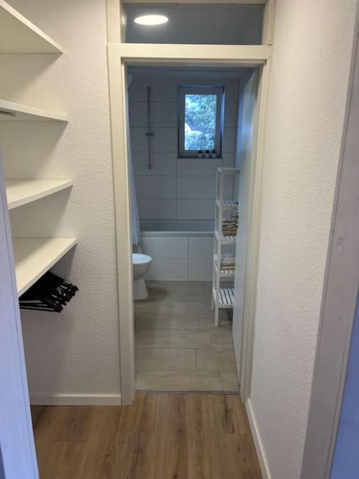 City Appartement Direkt Am Schloss! كارلسروه المظهر الخارجي الصورة